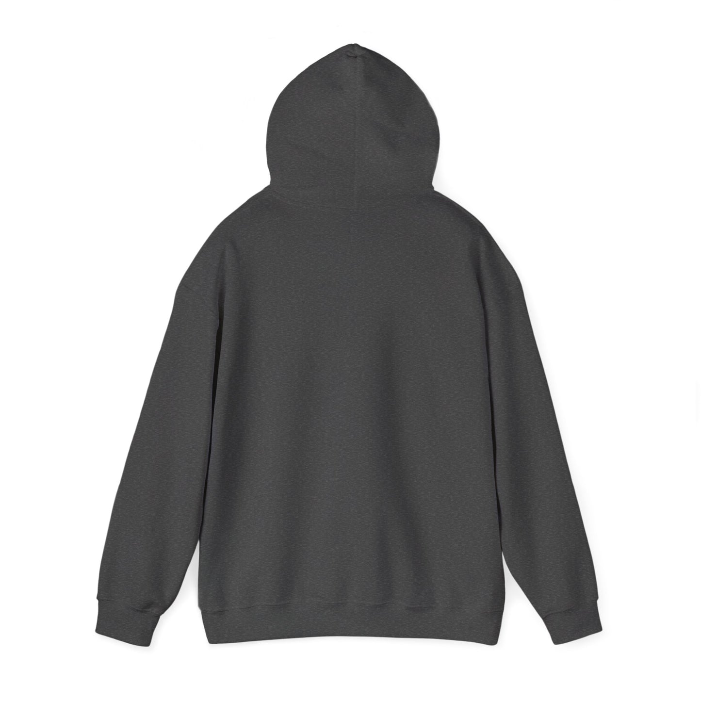 Unisex Heavy Blend™ Hooded Sweatshirt (Brand Name Only)