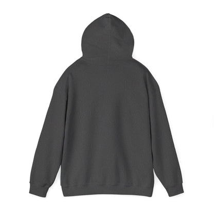 Unisex Heavy Blend™ Hooded Sweatshirt (Brand Name Only)