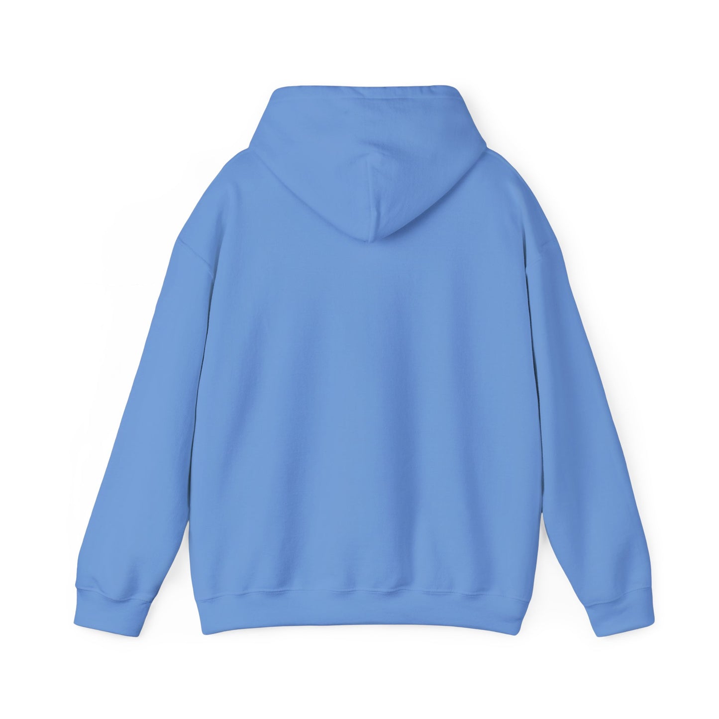 Unisex Heavy Blend™ Hooded Sweatshirt (Ballerina V2)